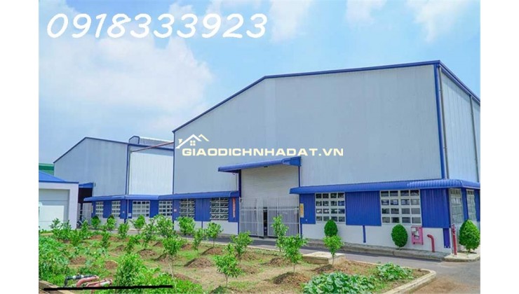 Bán Hoặc Cho thuê kho xưởng 600m², Bình Chánh, 29 tỷ